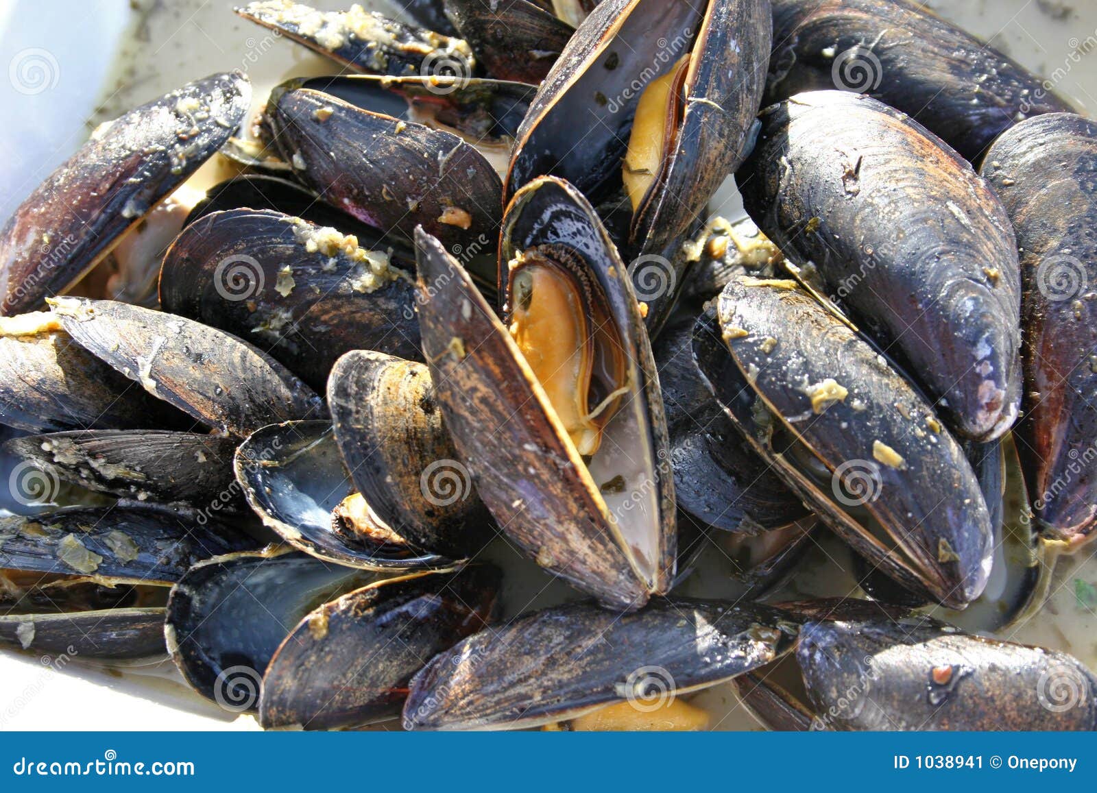 Cooked Mussels stock image. Image of lunch, mussels, shellfish 1038941