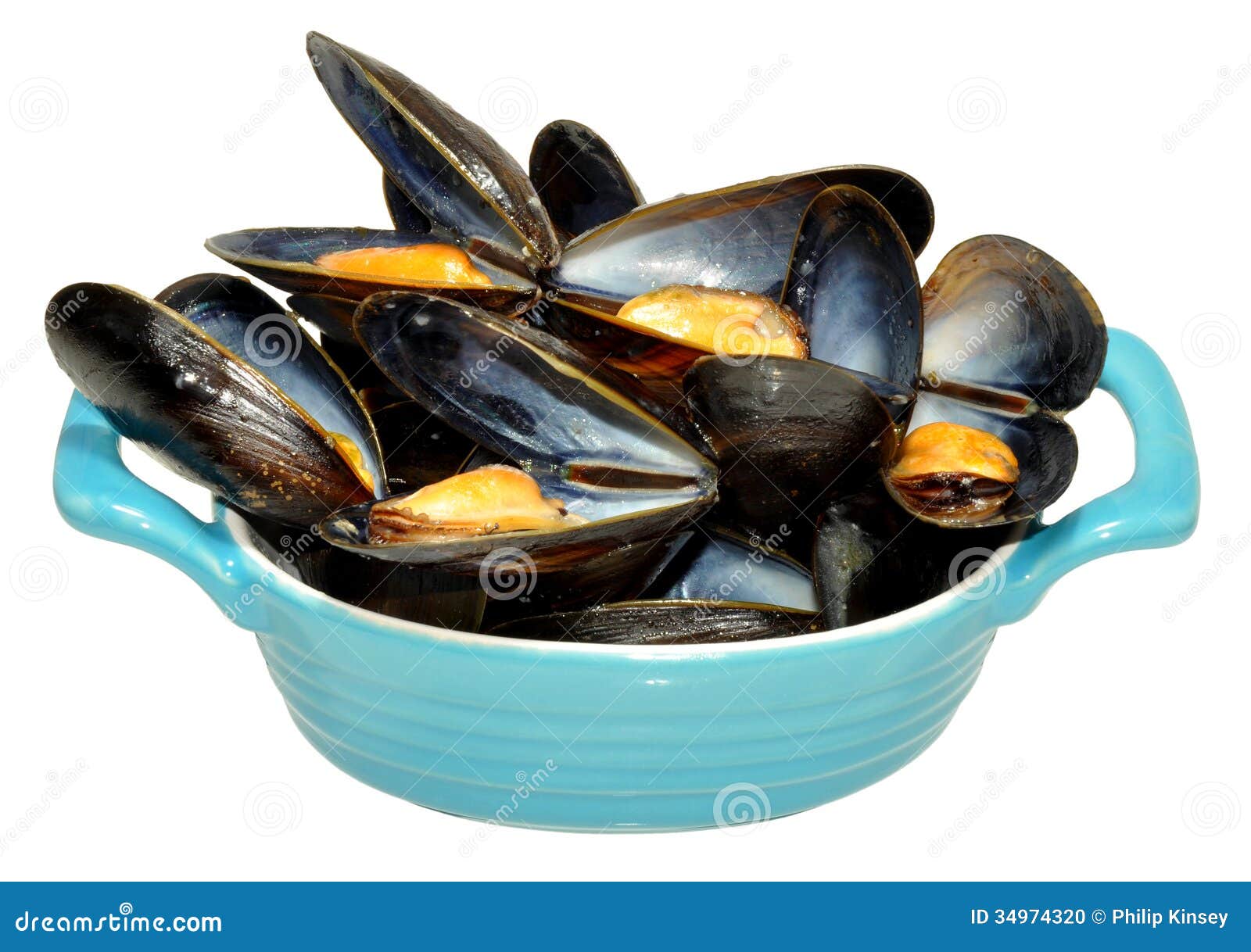 Cooked Mussels stock photo. Image of white, nutrition 34974320