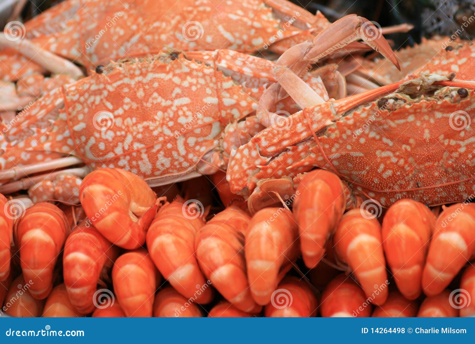 Cooked Prawns and Crab, Thailand. Stock Photo Image of dieting, crab 14264498