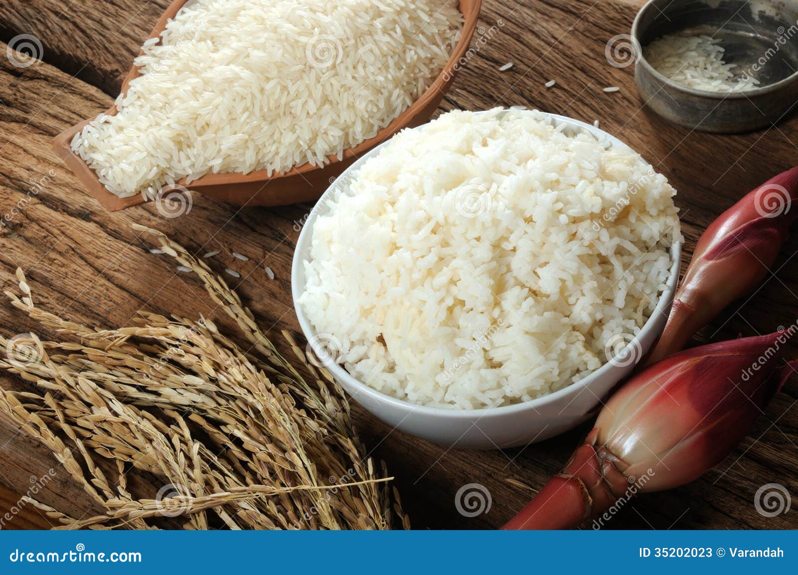 Cooked Rice, Uncooked Rice and Paddy Rice on Wooden Tabel Stock Image