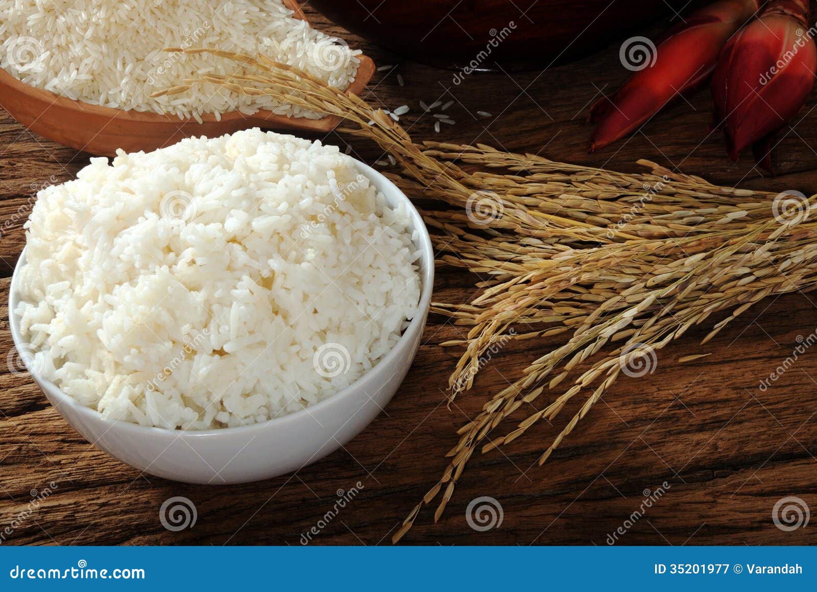 Cooked Rice, Uncooked Rice and Paddy Rice on Wooden Table Stock Image