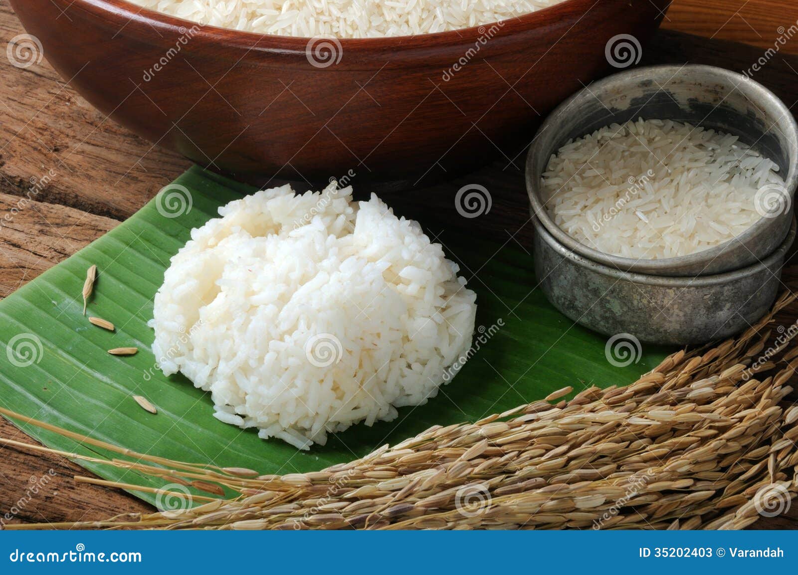 Cooked Rice, Uncooked Rice and Paddy Rice on Wooden Table Stock Image
