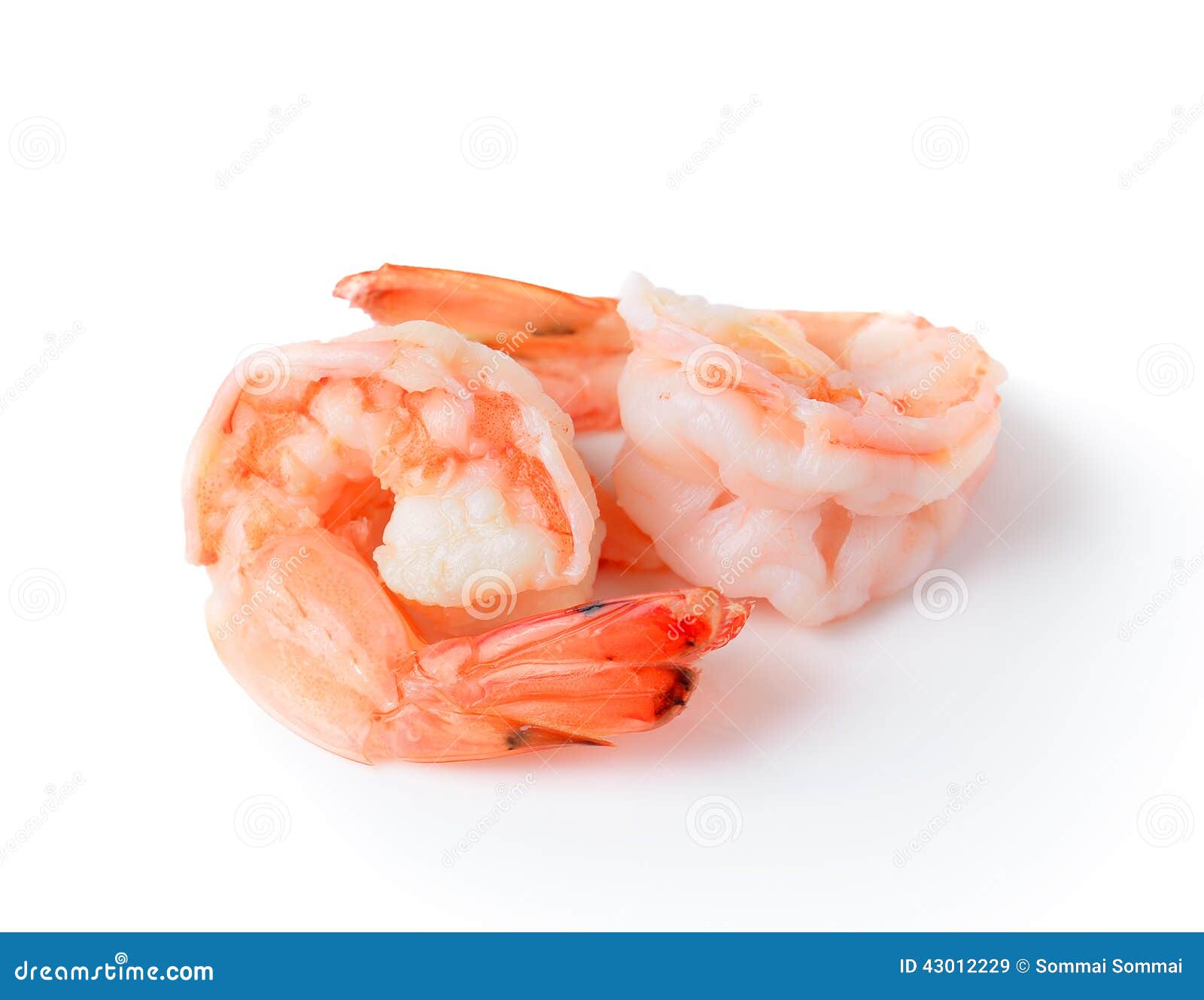 cooked shrimp  on white background.