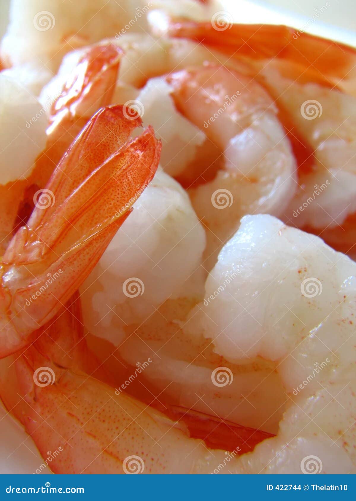 Cooked Shrimps stock photo. Image of meal, cookout, food - 422744