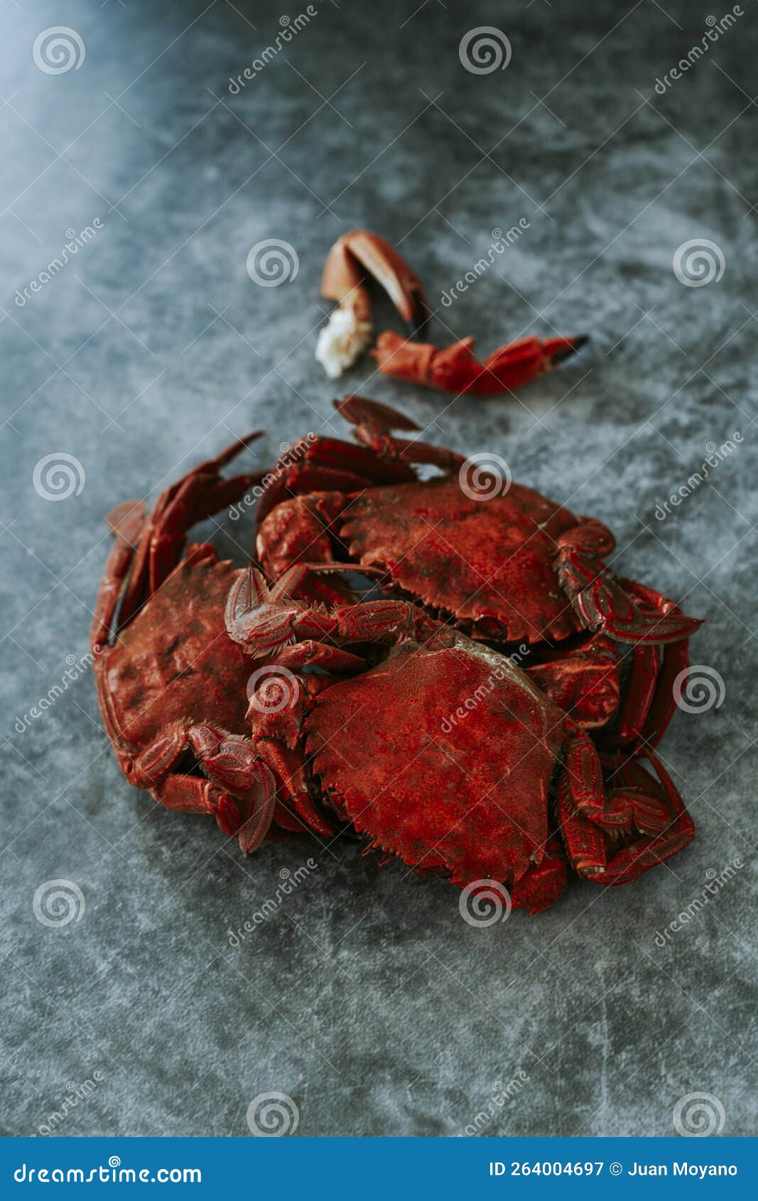 Cooked Velvet Crabs or Necora Crabs Stock Image Image of gastronomy