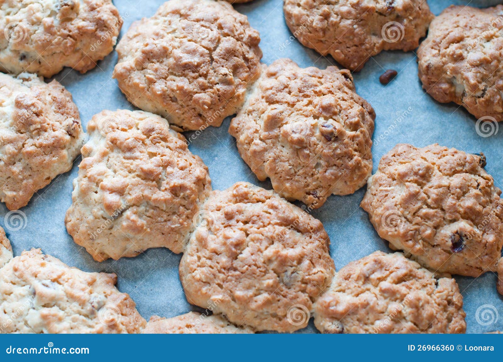 Cookies on a baking tray stock photo. Image of refreshment 26966360