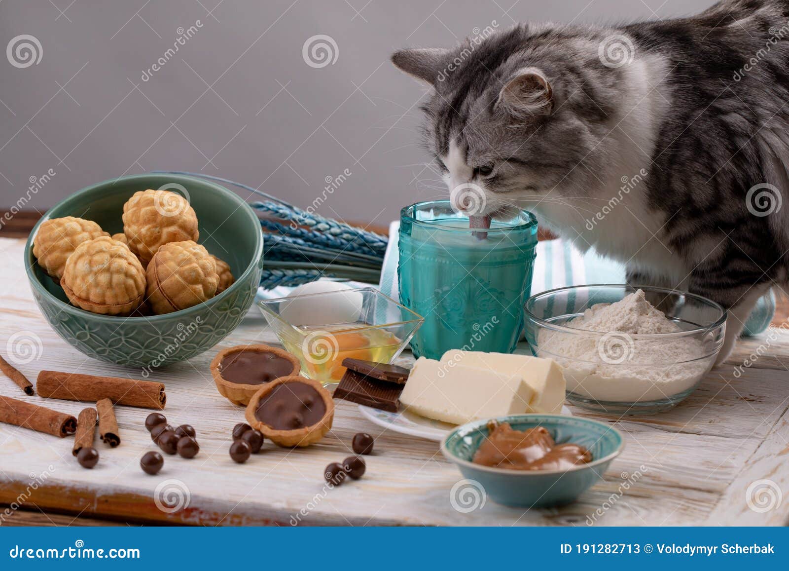 9 Le Chat Boit Du Lait Photos Libres De Droits Et Gratuites De Dreamstime 9 Le Chat Boit Du Lait Photos Libres De Droits Et Gratuites De Dreamstime