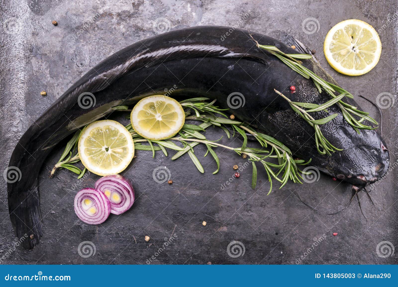 Cooking Catfish with Spices and Rosemary Stock Image Image of