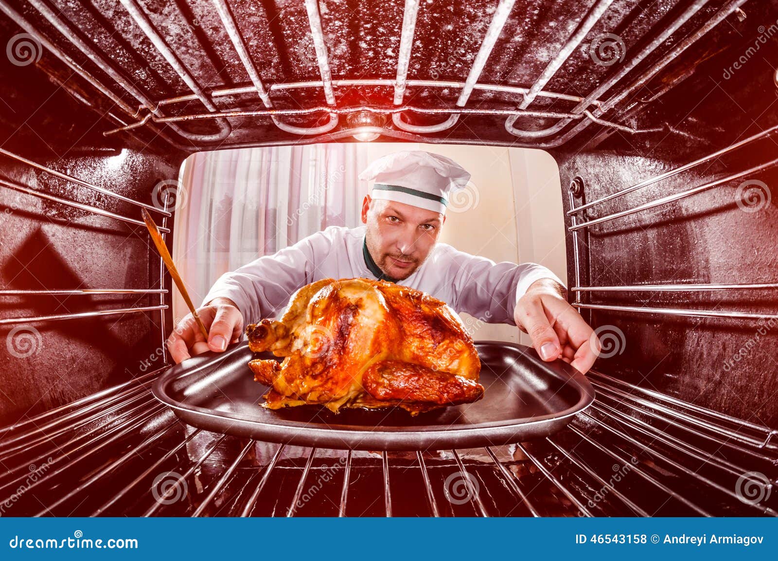 Cooking Chicken in the Oven. Stock Photo Image of hand, oven 46543158