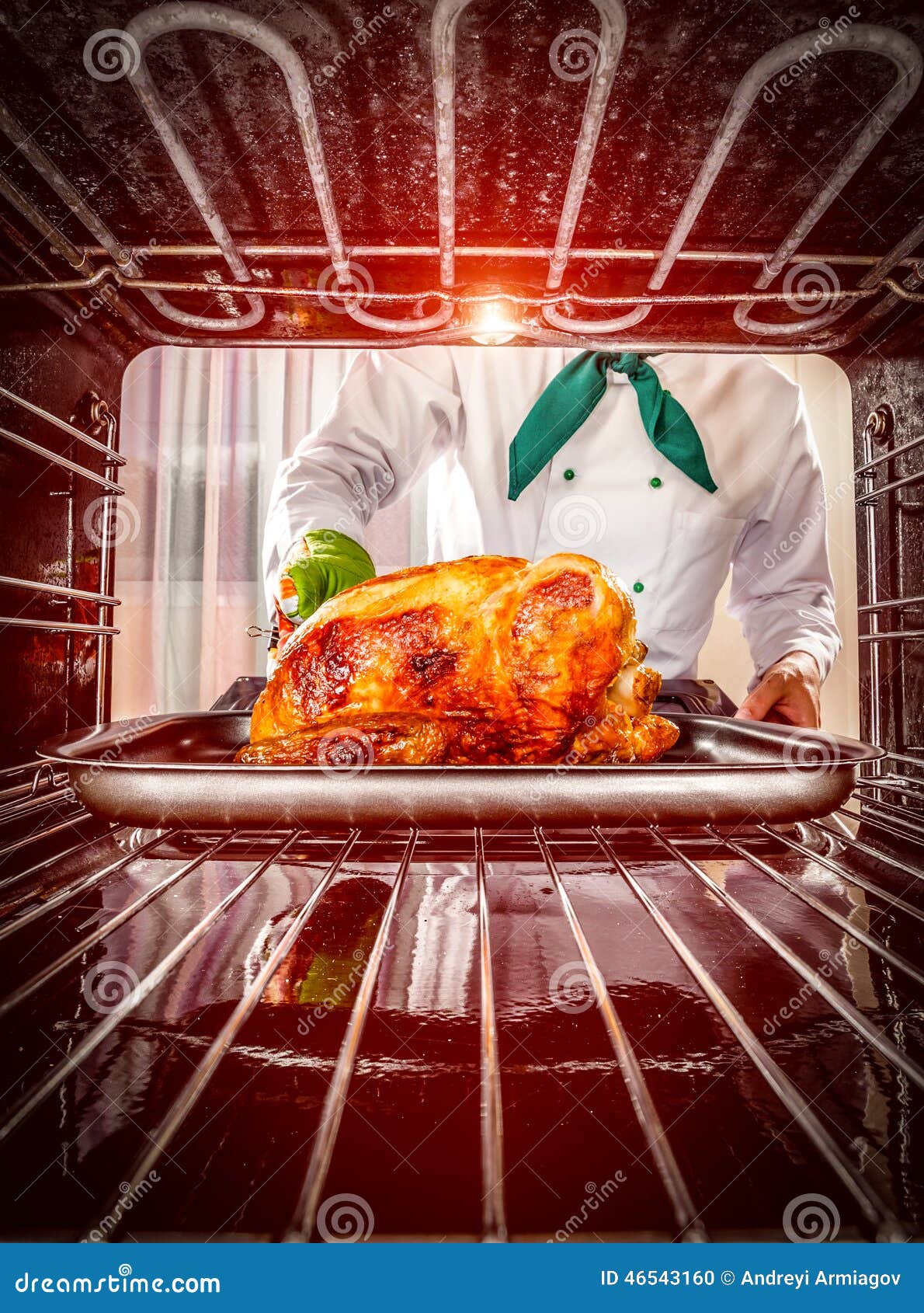 Cooking Chicken in the Oven. Stock Photo Image of cooked, plate 46543160