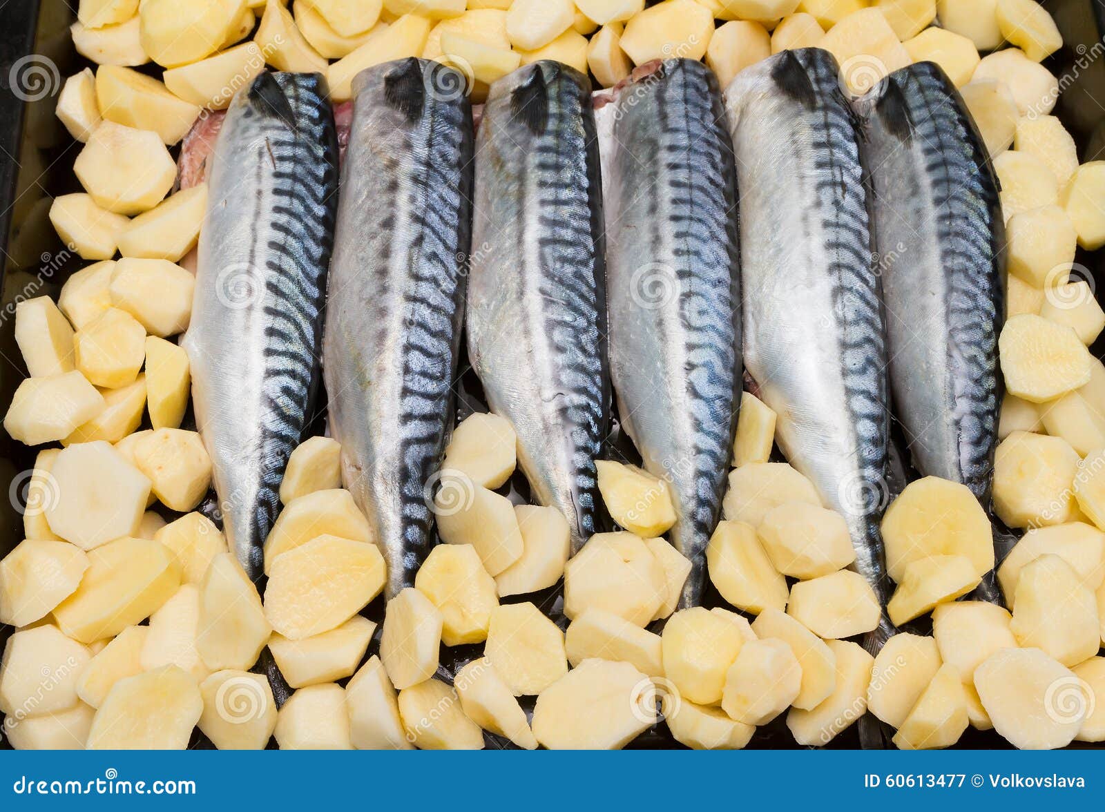 Cooking Fish Mackerel on a Tray in the Oven Stock Image Image of