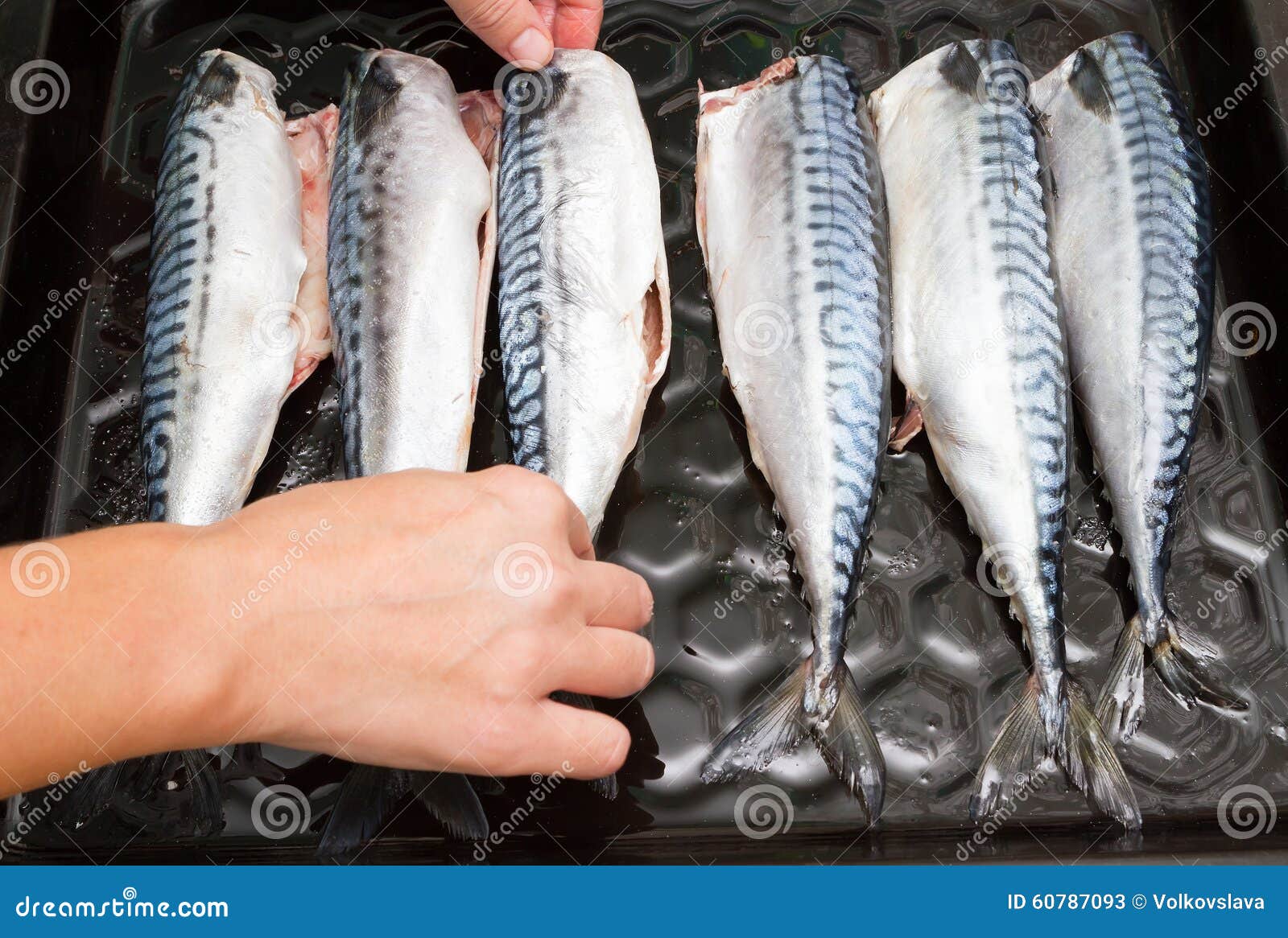 Cooking Fish Mackerel on a Tray in the Oven Stock Image Image of