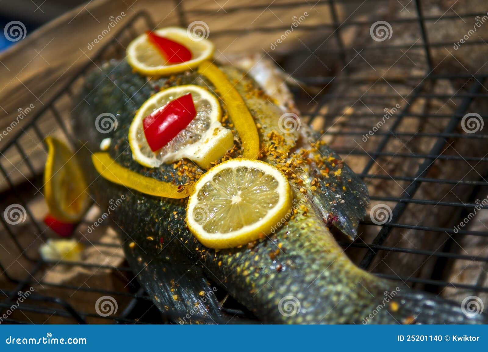 Cooking Fish Over Open Fire Stock Photo Image of meat, fishing 25201140