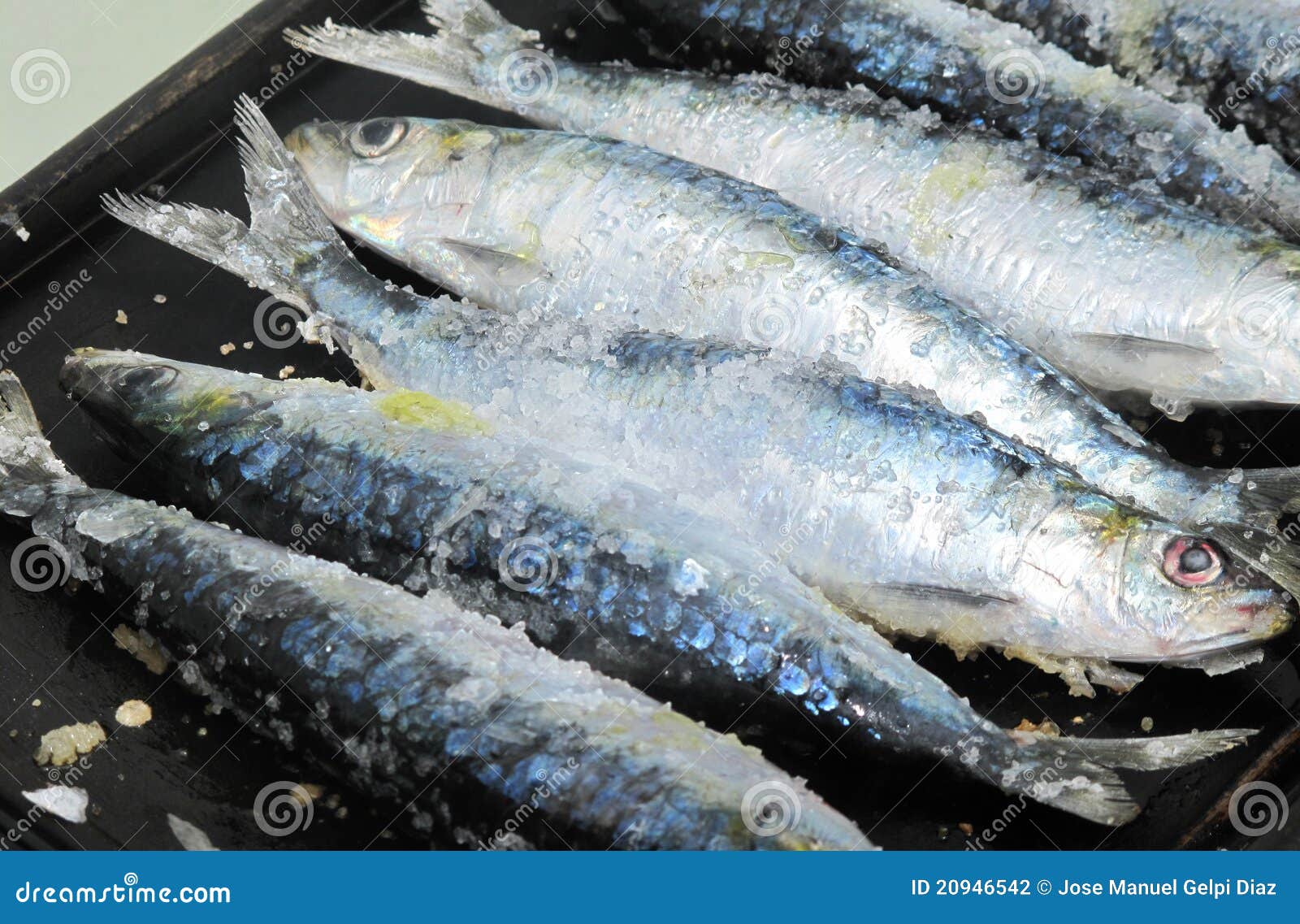 Cooking fresh sardines stock photo. Image of cuisine 20946542