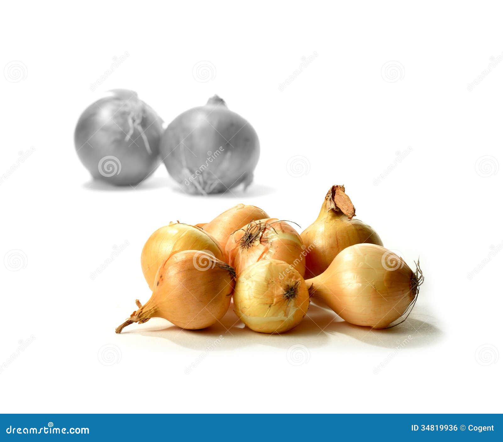 Cooking with Onions stock photo. Image of nature, gourmet 34819936