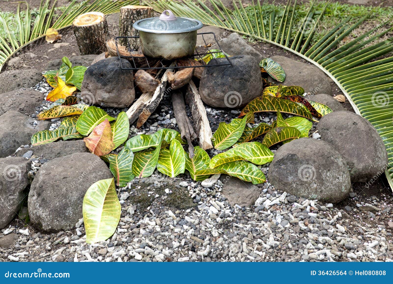 Cooking on open fire stock photo. Image of cook, fijian 36426564