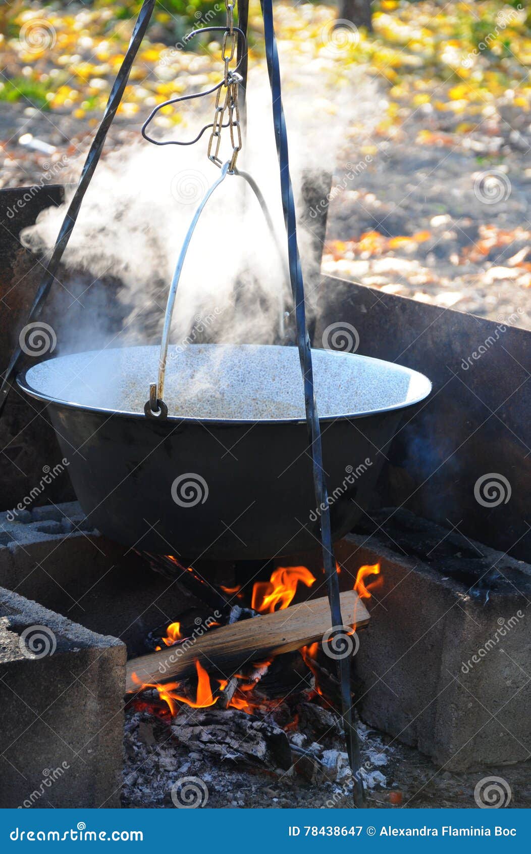 Cooking Outdoors in Castiron Cauldron Stock Image Image of cooking