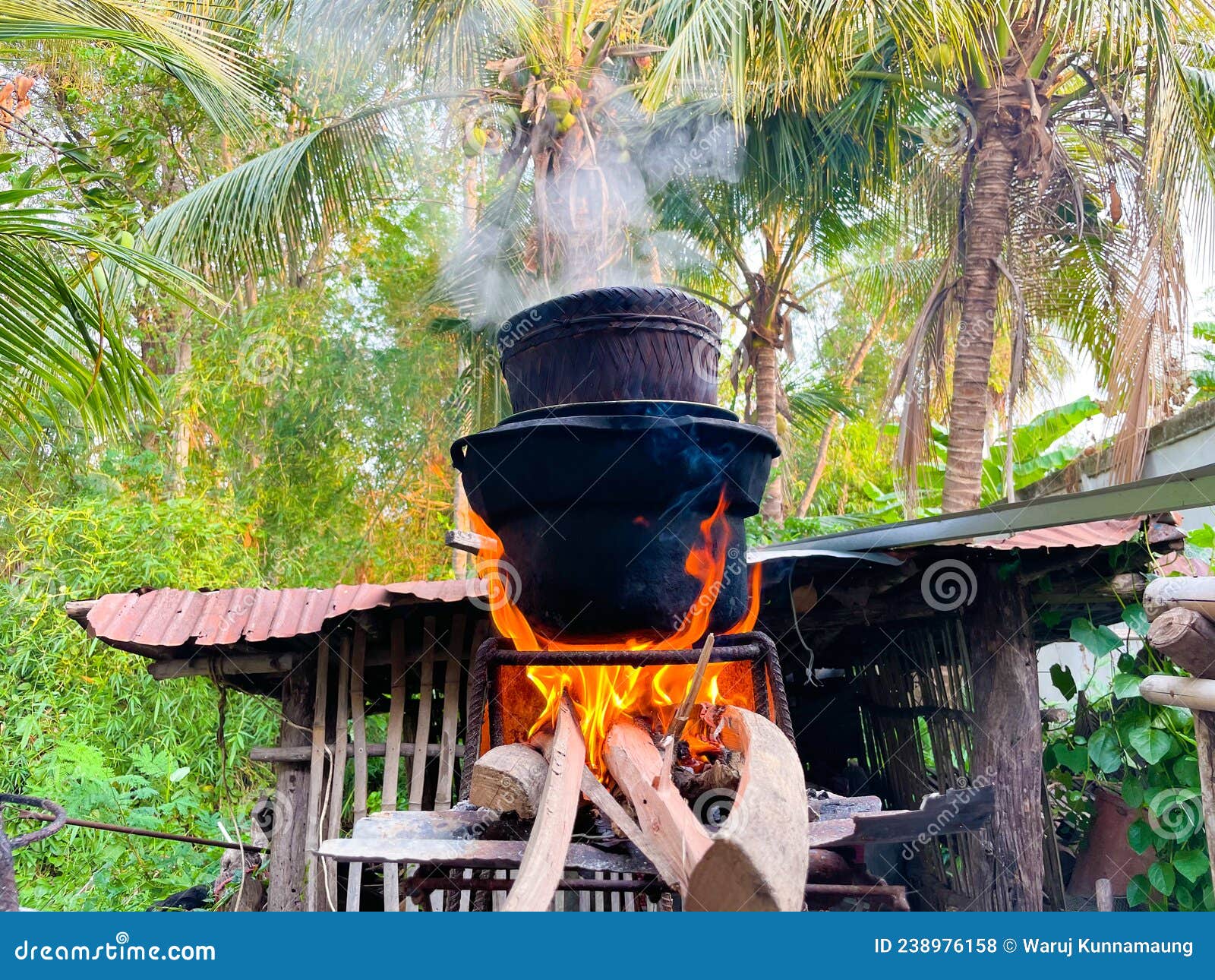 Cooking Rice by Steaming Method. Stock Photo Image of autumn, plant