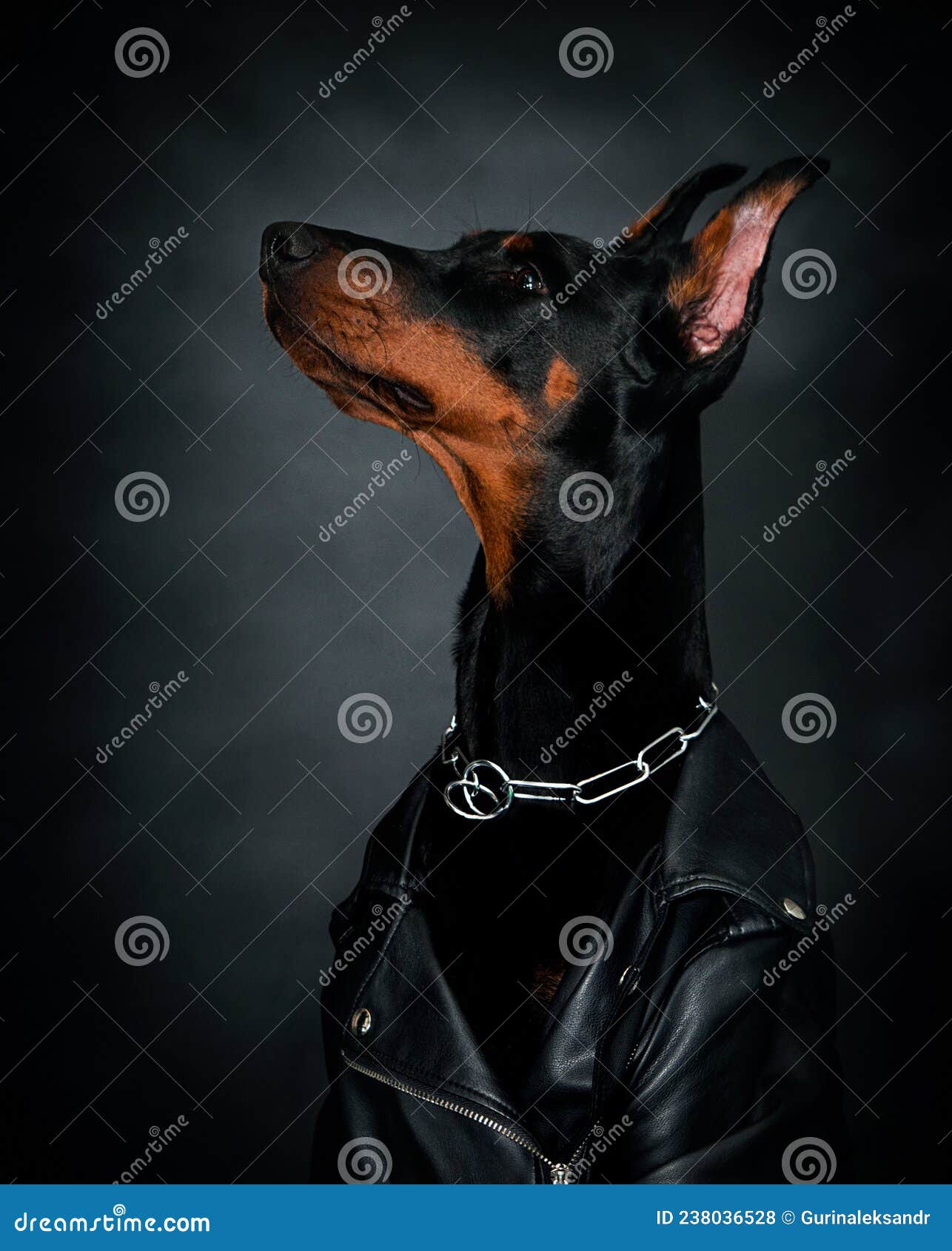 Cool Biker Wearing Leather Jacket On Grey Background Stock Photo