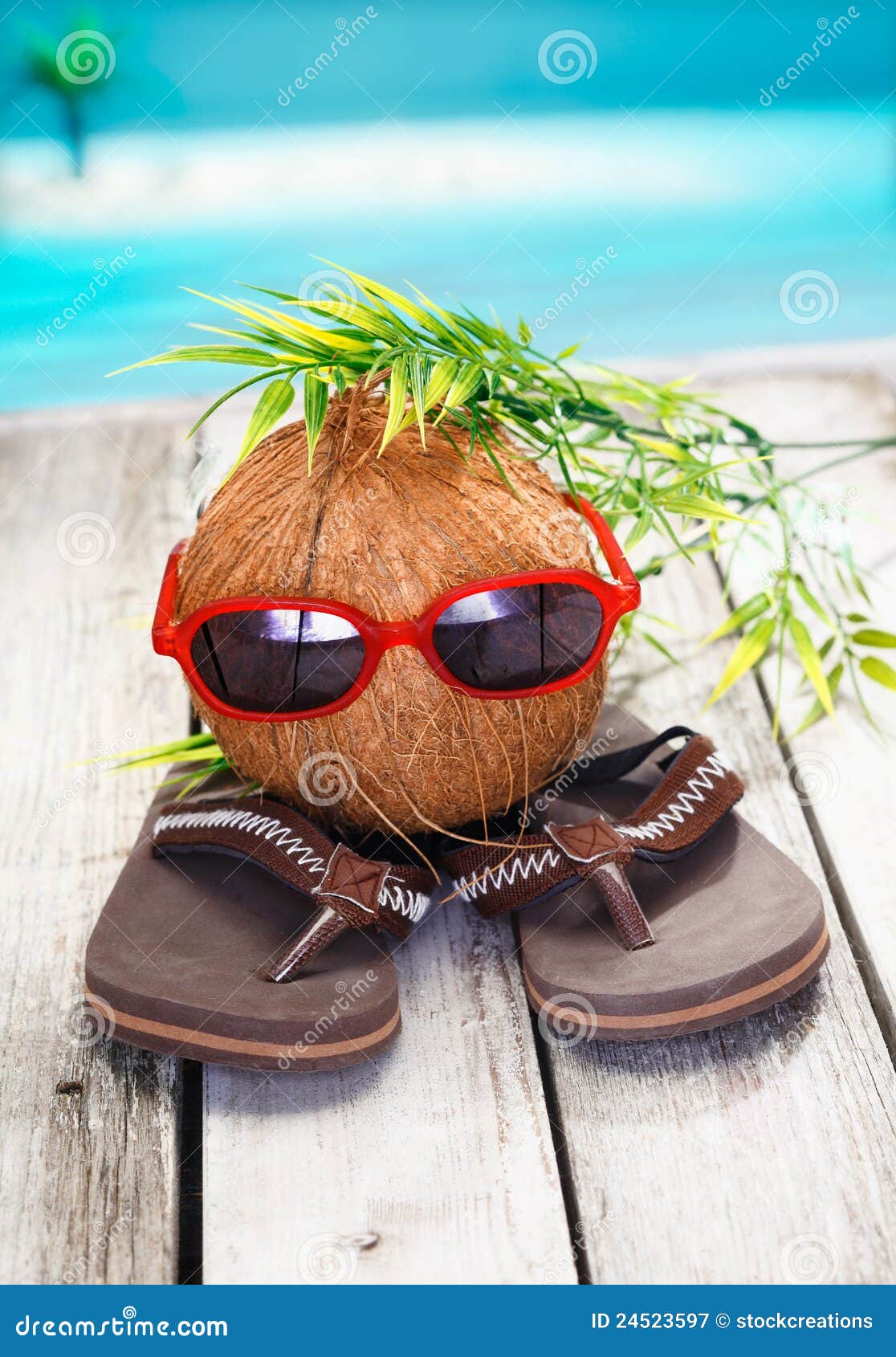 Cool Coconut Adventurer Royalty Free Stock Photography Image 24523597