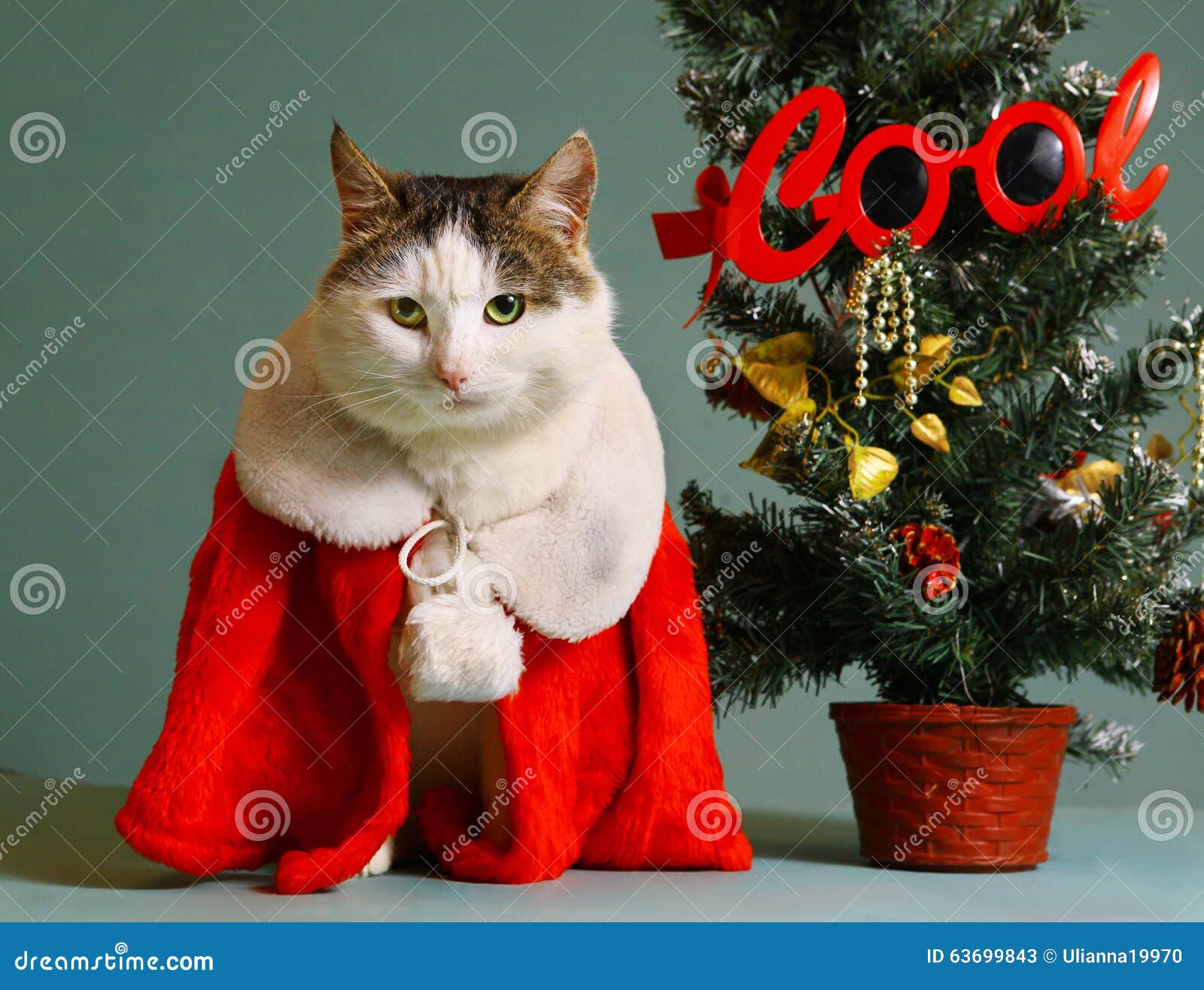 Cool tom cat in santa claus garment mantel with white fur collar sit beside small christmas tree in pot