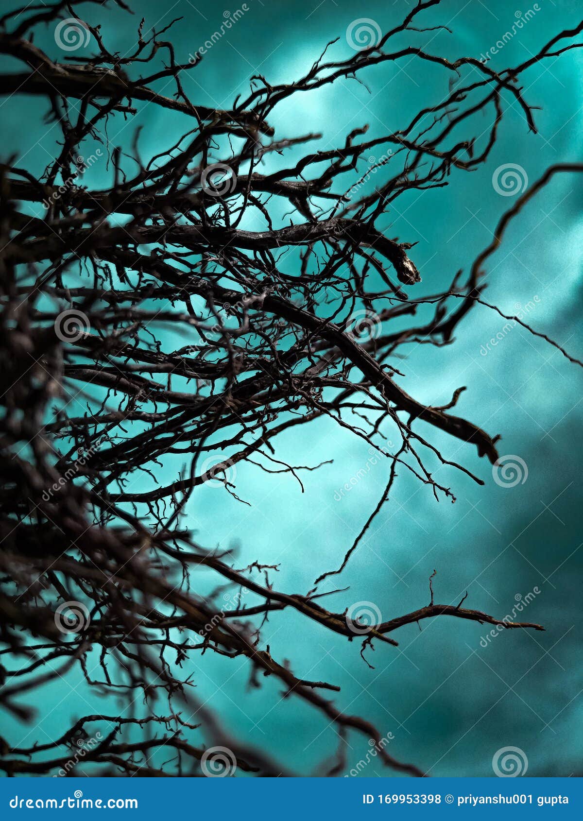 The Cool Wallpaper for Phone and Nice Monstrous Look Stock Photo - Image of monstrous, phone: 169953398 The Cool Wallpaper for Phone and Nice Monstrous Look Stock Photo - Image of monstrous, phone: 169953398