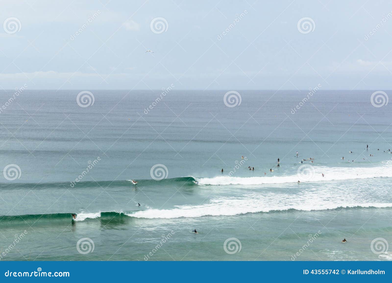 Coolangatta Surfers stock photo. Image of swell, surf 43555742