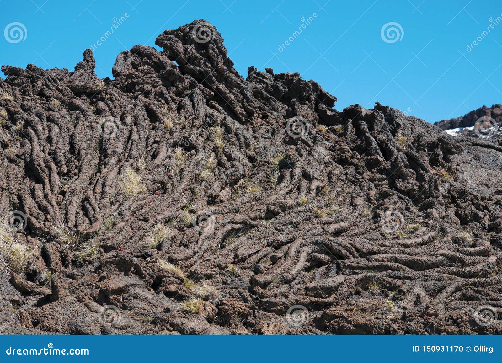 Cooled Lava Flow Ropy Surface Stock Photo Image of basalt, landmark 150931170