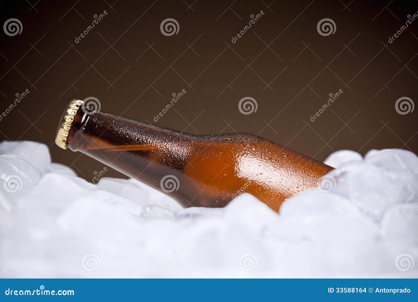 The cooler beer stock photo. Image of alcohol, closeup 33588164
