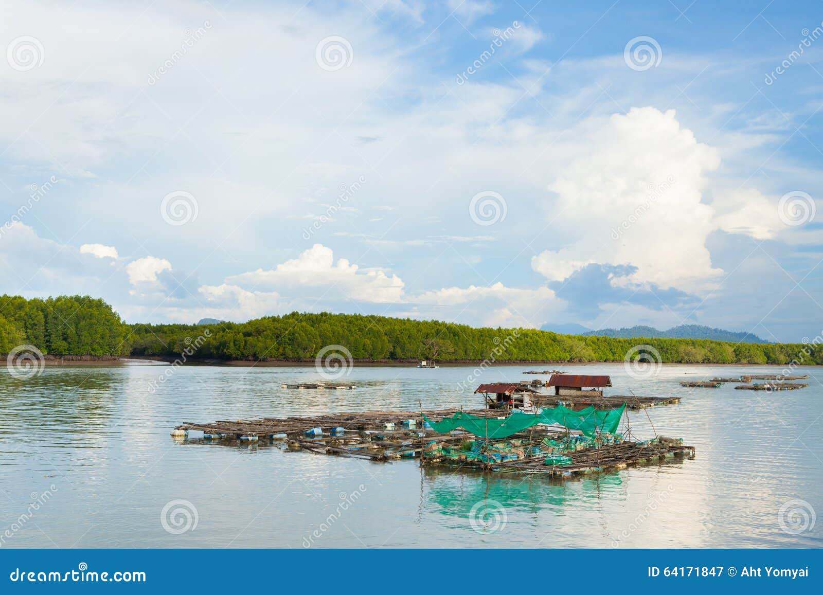 coop fish thailand sea feeding south 64171847