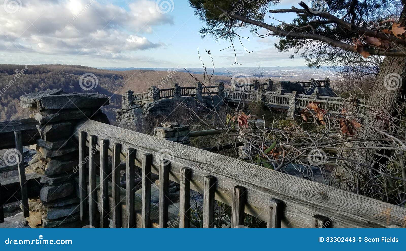 Coopers Rock, West Virginia Stock Image Image of overlook, view 83302443