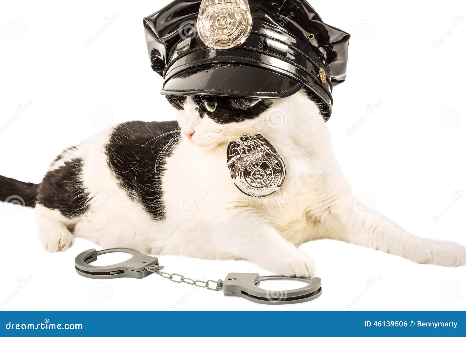 Cop politiekat. Zwart-witte cop kat in politie eenvormig met hoed, kenteken en handcuffs Het zitten op zuivere witte achtergrond
