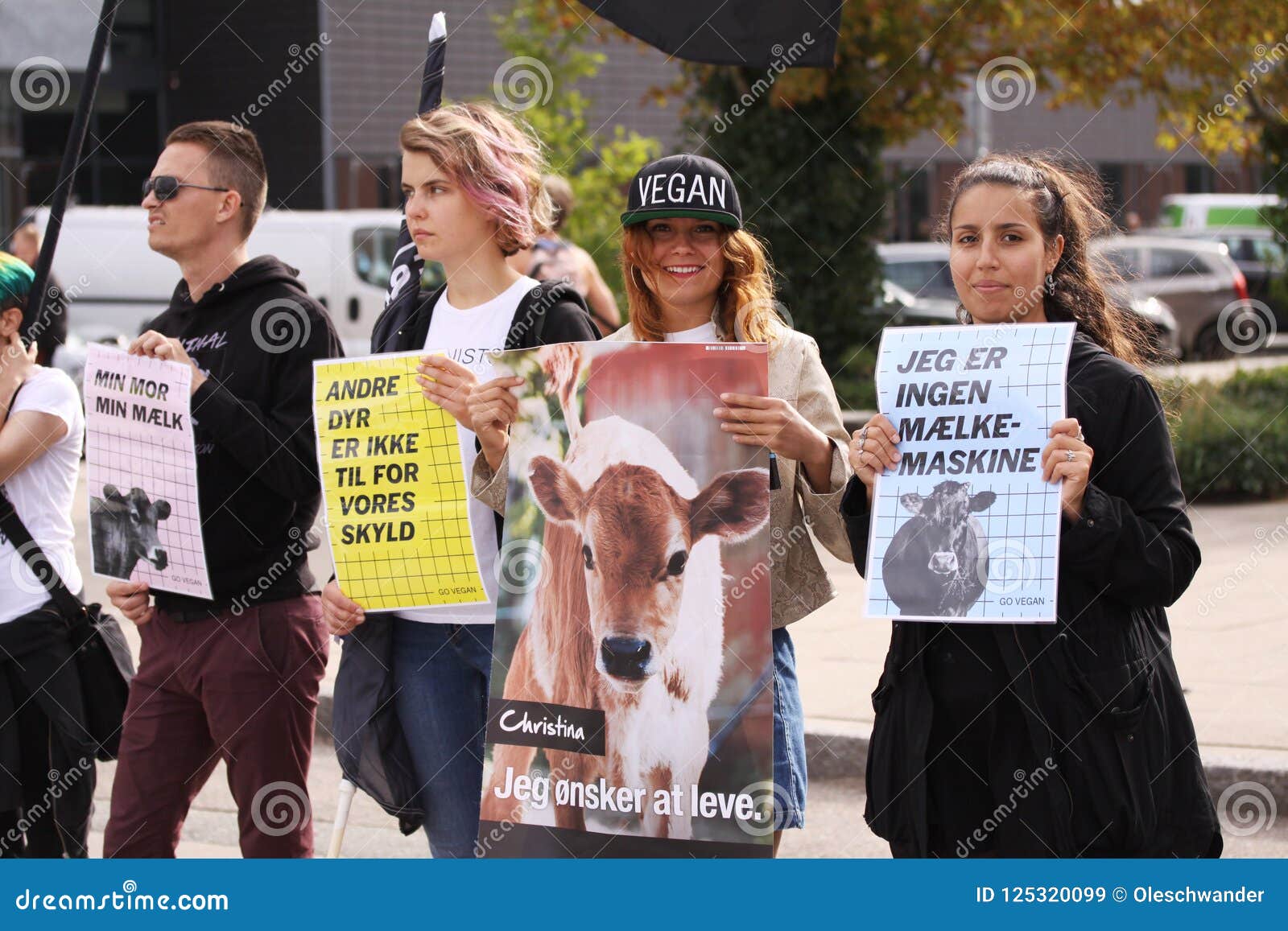 Vegan and Vegetarians for Animal Liberation Protest at a Demonstration  Against Cruelty Towards Animals and Eating Meat and Dairy P Editorial Stock  Image - Image of hold, action: 125320099