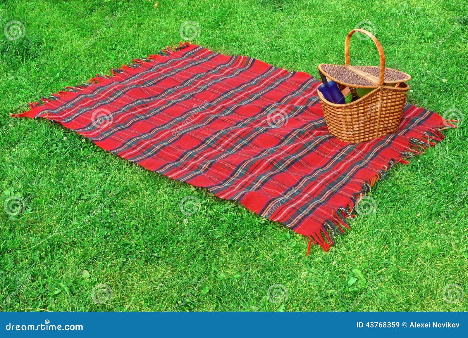 Coperta E Canestro Di Picnic Sul Prato Inglese Immagine Stock