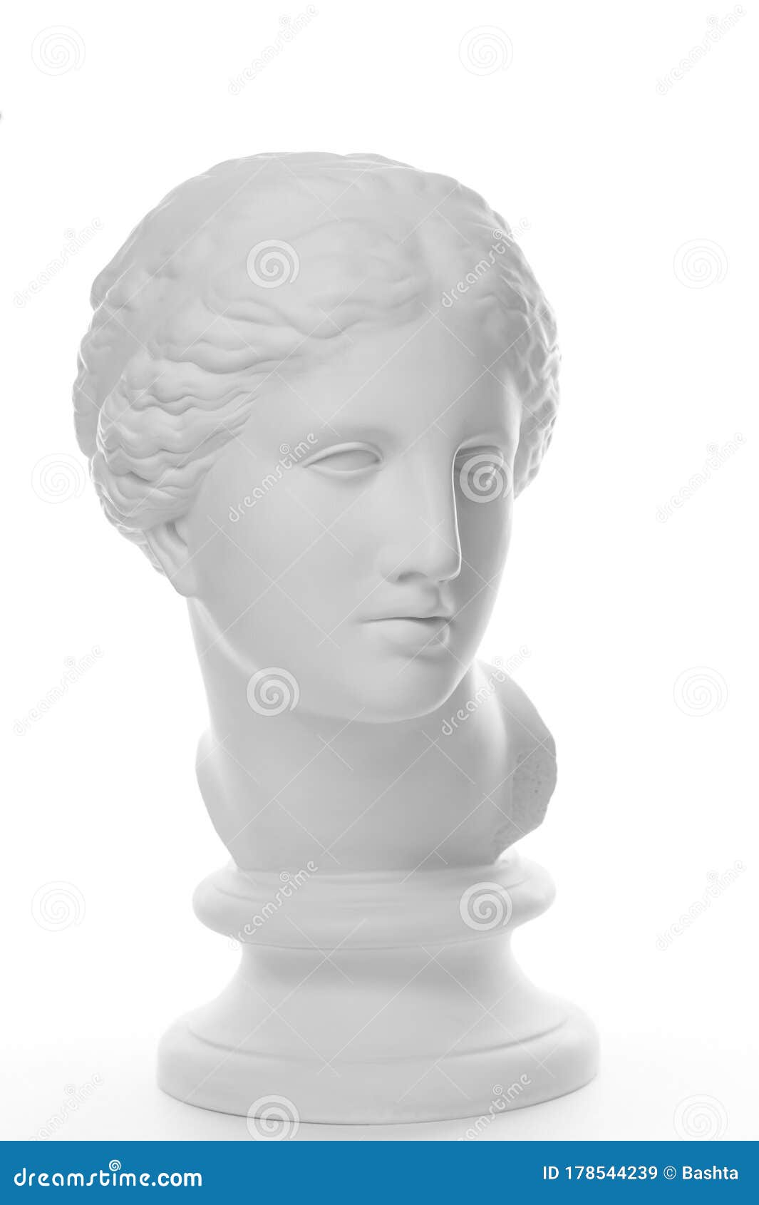 Copia in gesso della vecchia statua isolata in fondo bianco. faccia di donna scultura di gesso. Gesso bianco copia dell'antica statua di venus de milo head per artisti isolati su sfondo bianco. scultura di gesso della faccia della donna.