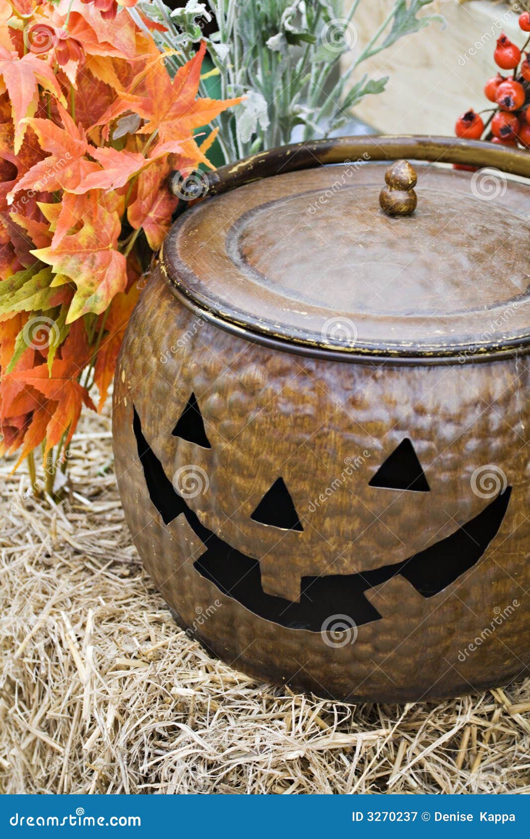 Copper Jackolatern Picture. Image 3270237