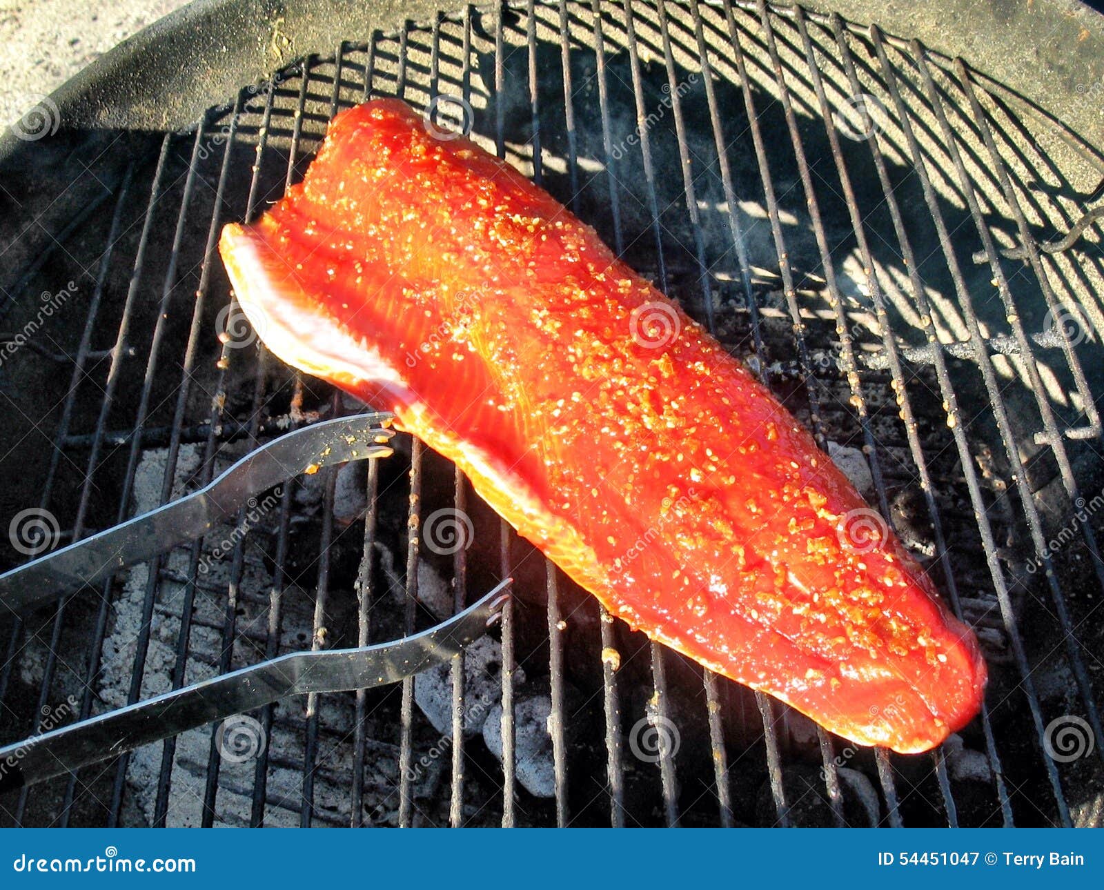 Copper River Salmon on the Grill Stock Image Image of fish, river