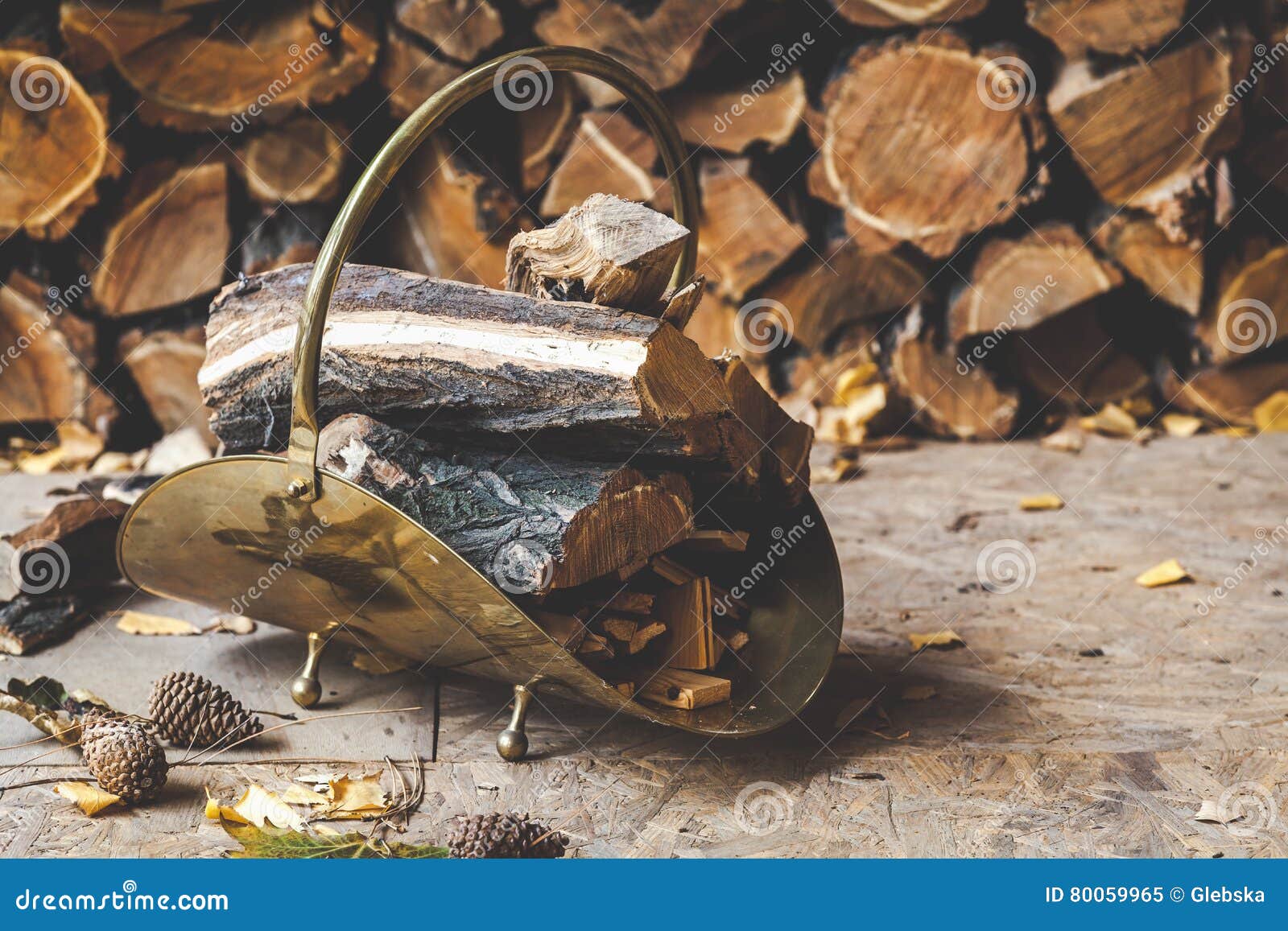 Copper Standing before Stack of Stacked Firewood Stock Image Image of