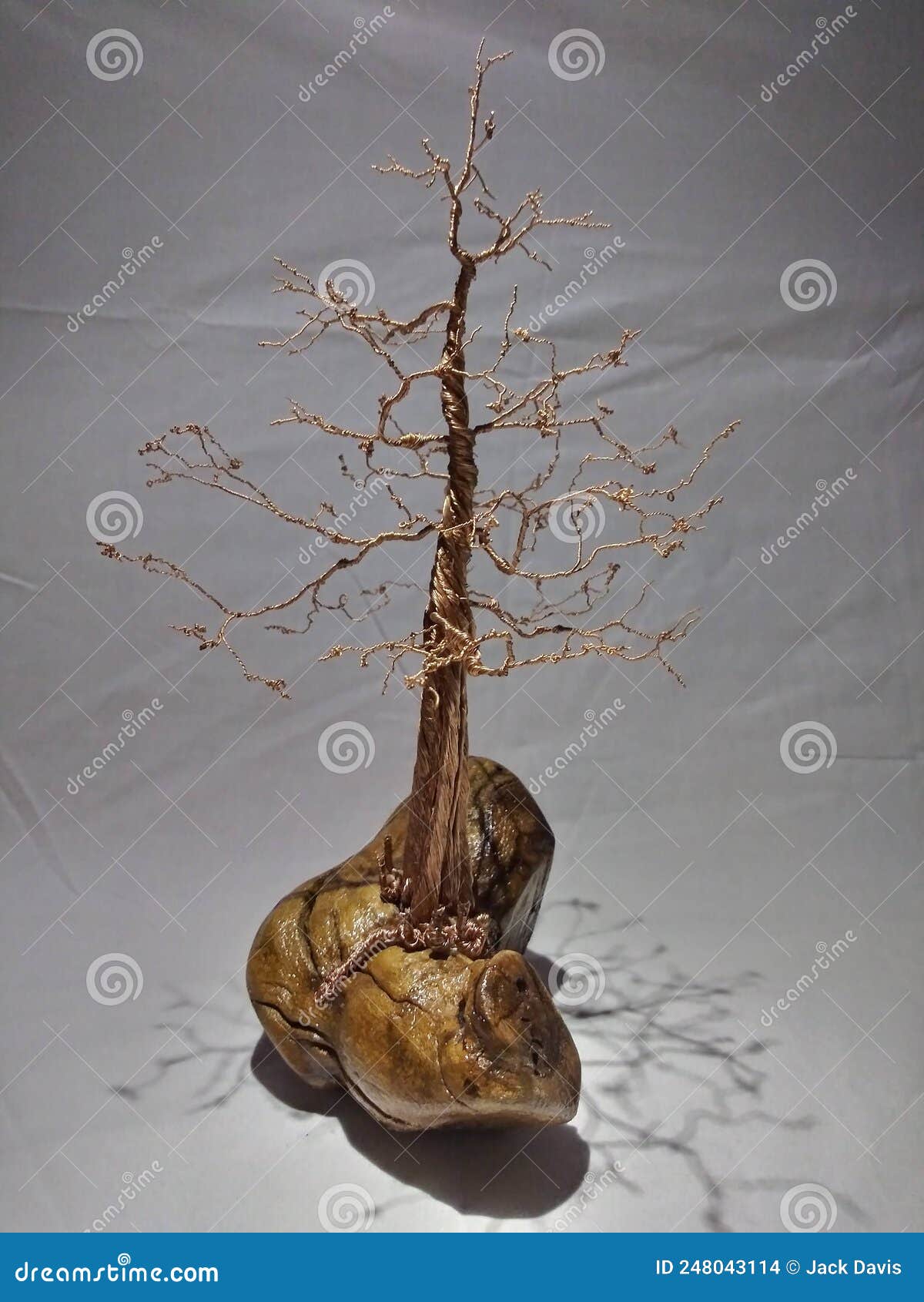 Copper Wire Bonsai Tree Sculpture Stock Photo Image of flower, copper