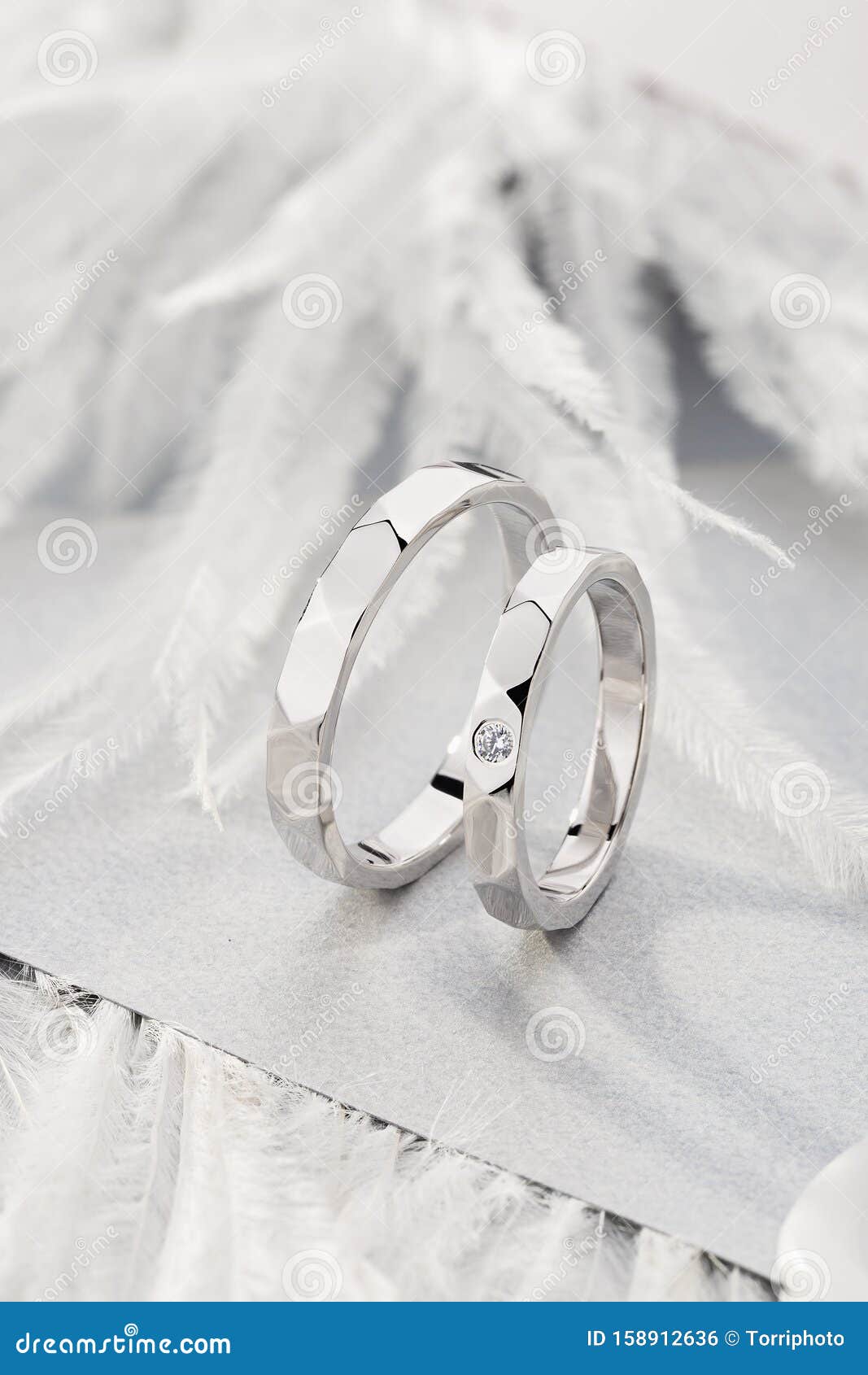 Coppia Di Anelli Di Matrimonio D'argento Con Diamante Su Fondo Grigio Con  Piume Fotografia Stock - Immagine di sposisi, accoppiamento: 158912636