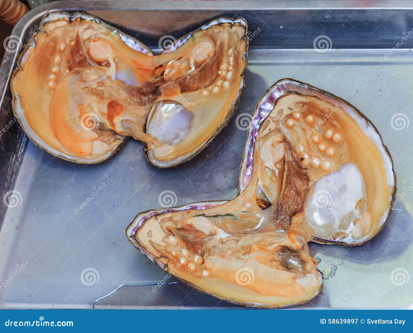 Coquille d'huître dorée à servir - Huître et perle dans une huître