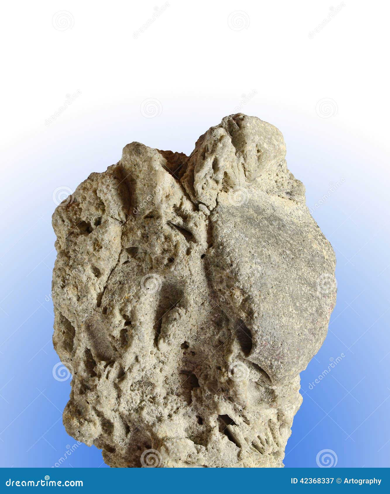 Coquina stock image. Image of sediment, mineral, grey 42368337