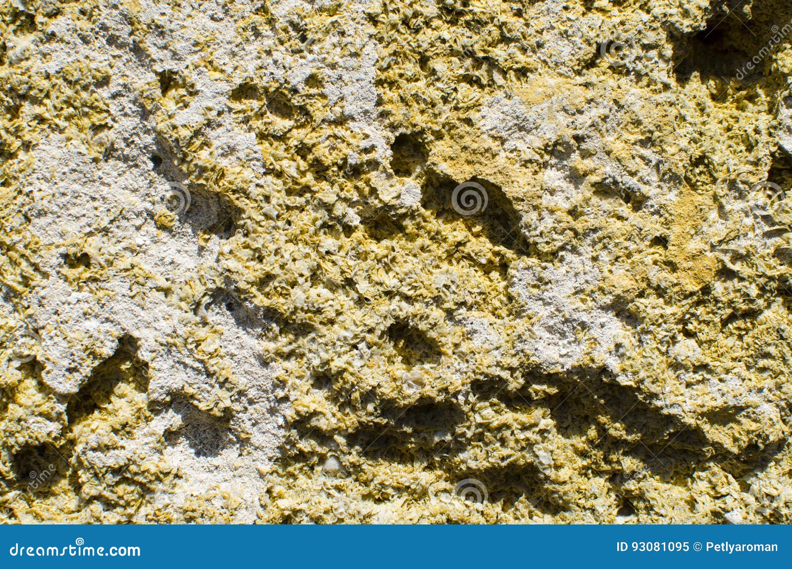Coquina Natural Porous Stone. Construction Material Stock Image Image