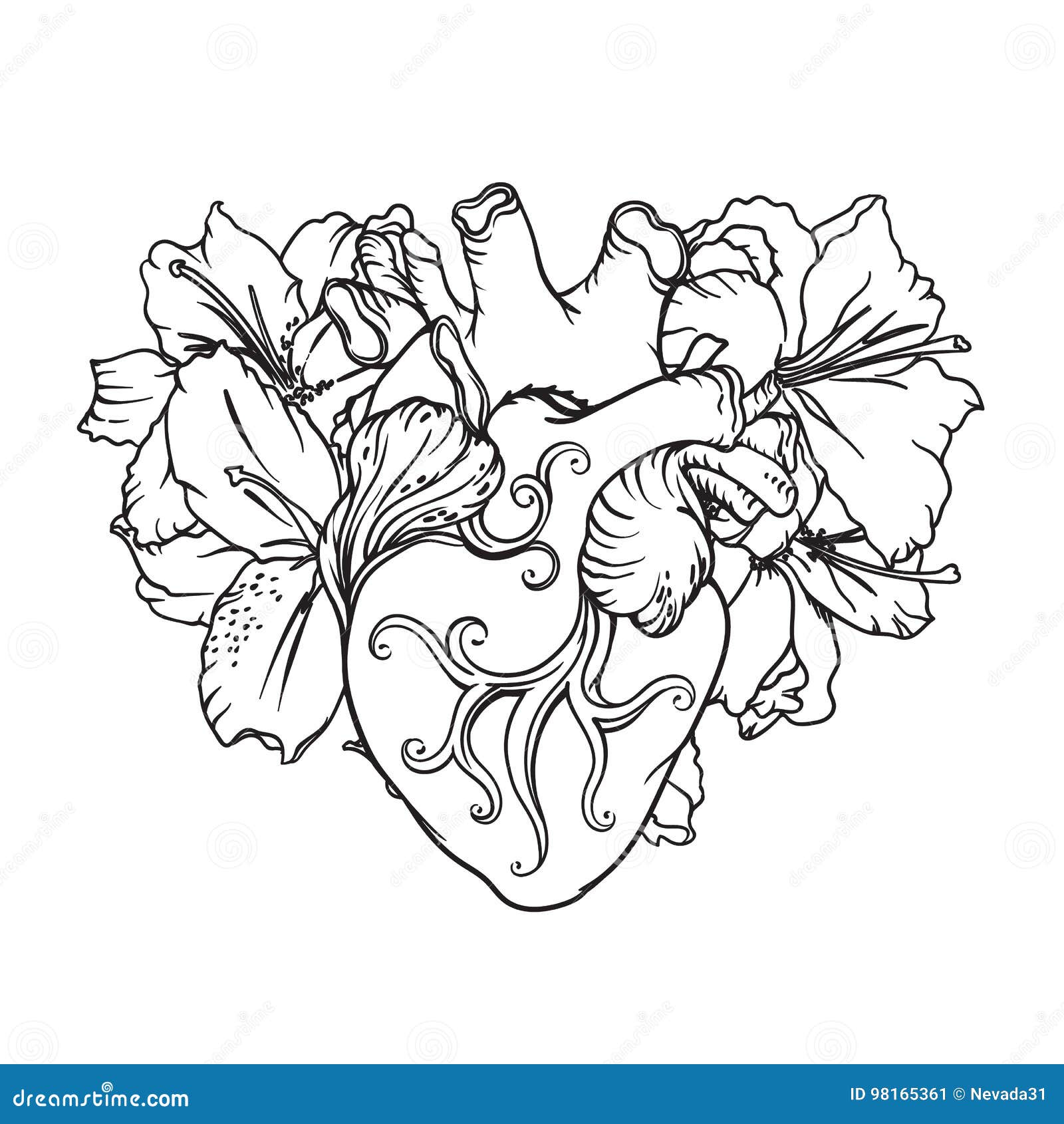 Featured image of post Imagem De Cora o Humano Para Colorir