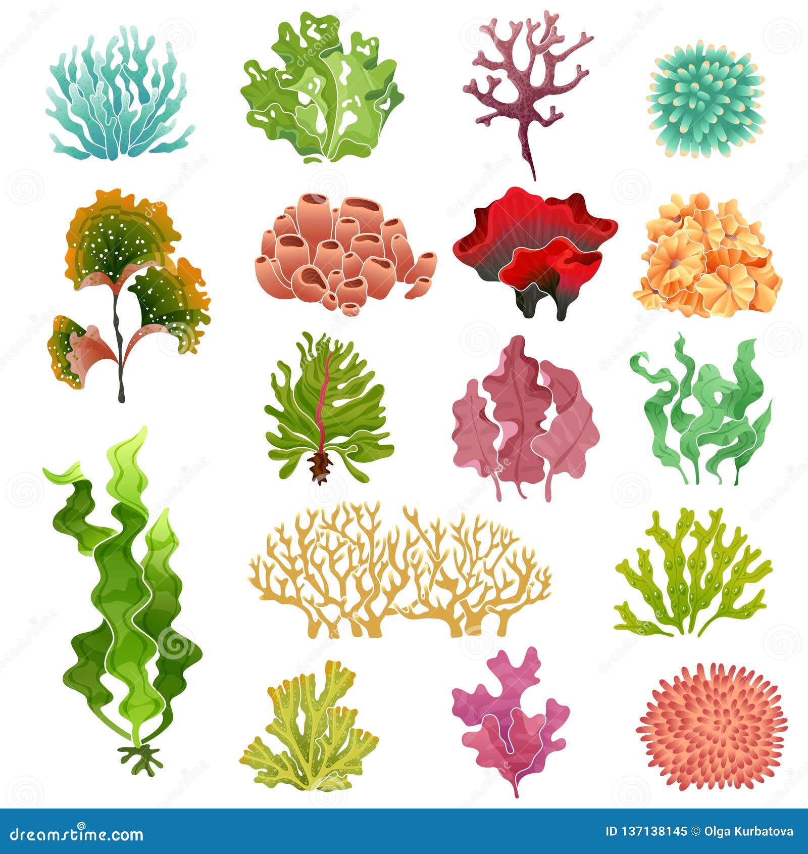 Coral E Alga Flora, Alga Do Aquário Das Algas Da água Do Mar E Corais  Subaquáticos Grupo Do Vetor Das Plantas Do Oceano Ilustração do Vetor -  Ilustração de verde, plantar: 137138145
