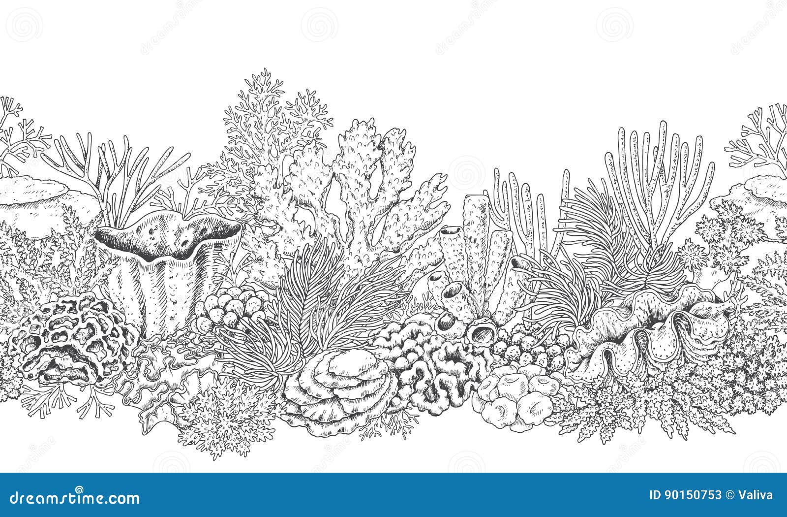 Coral Reef Line Horizontal Pattern Stock Vector - Illustration of ...