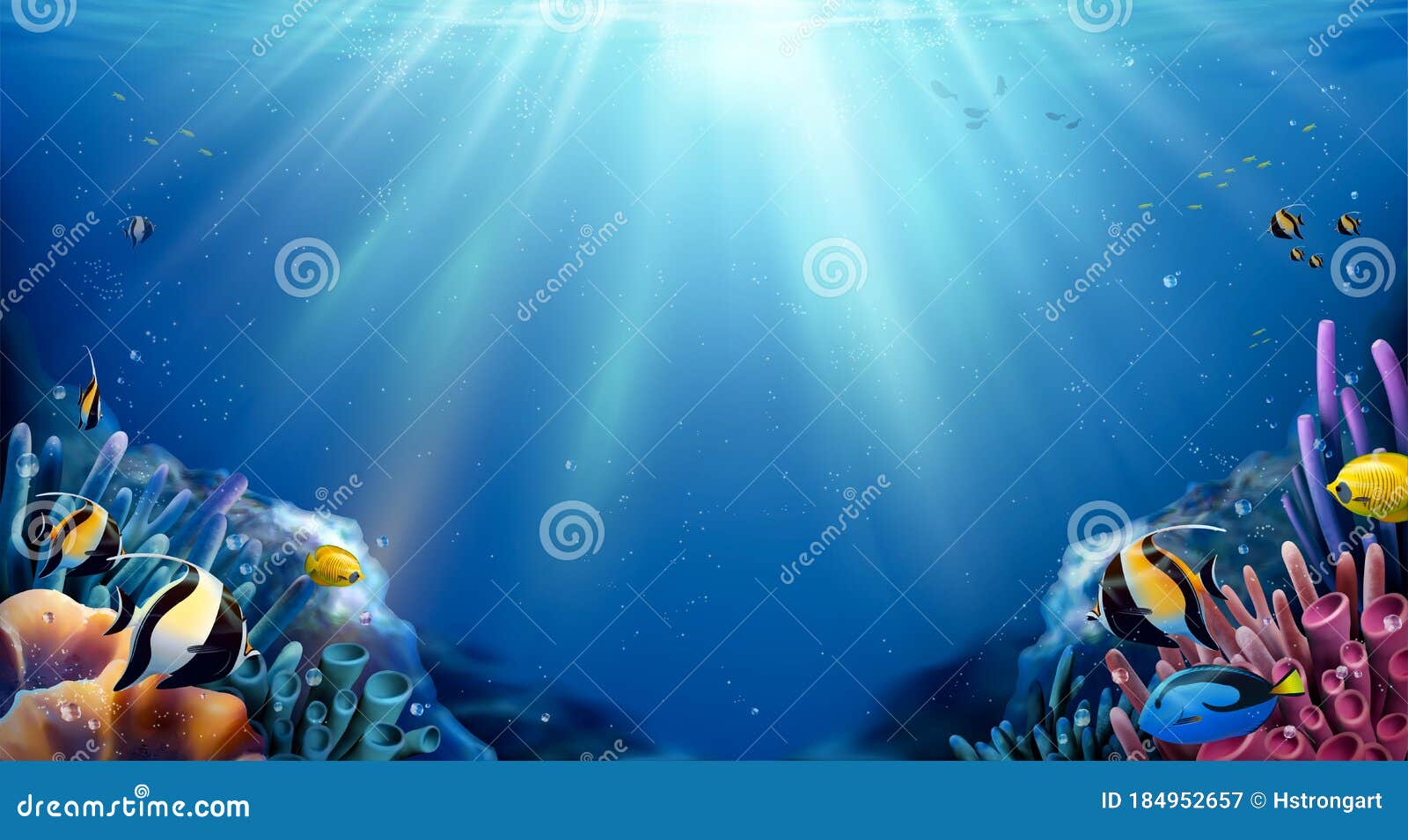 beautiful fish wallpaper