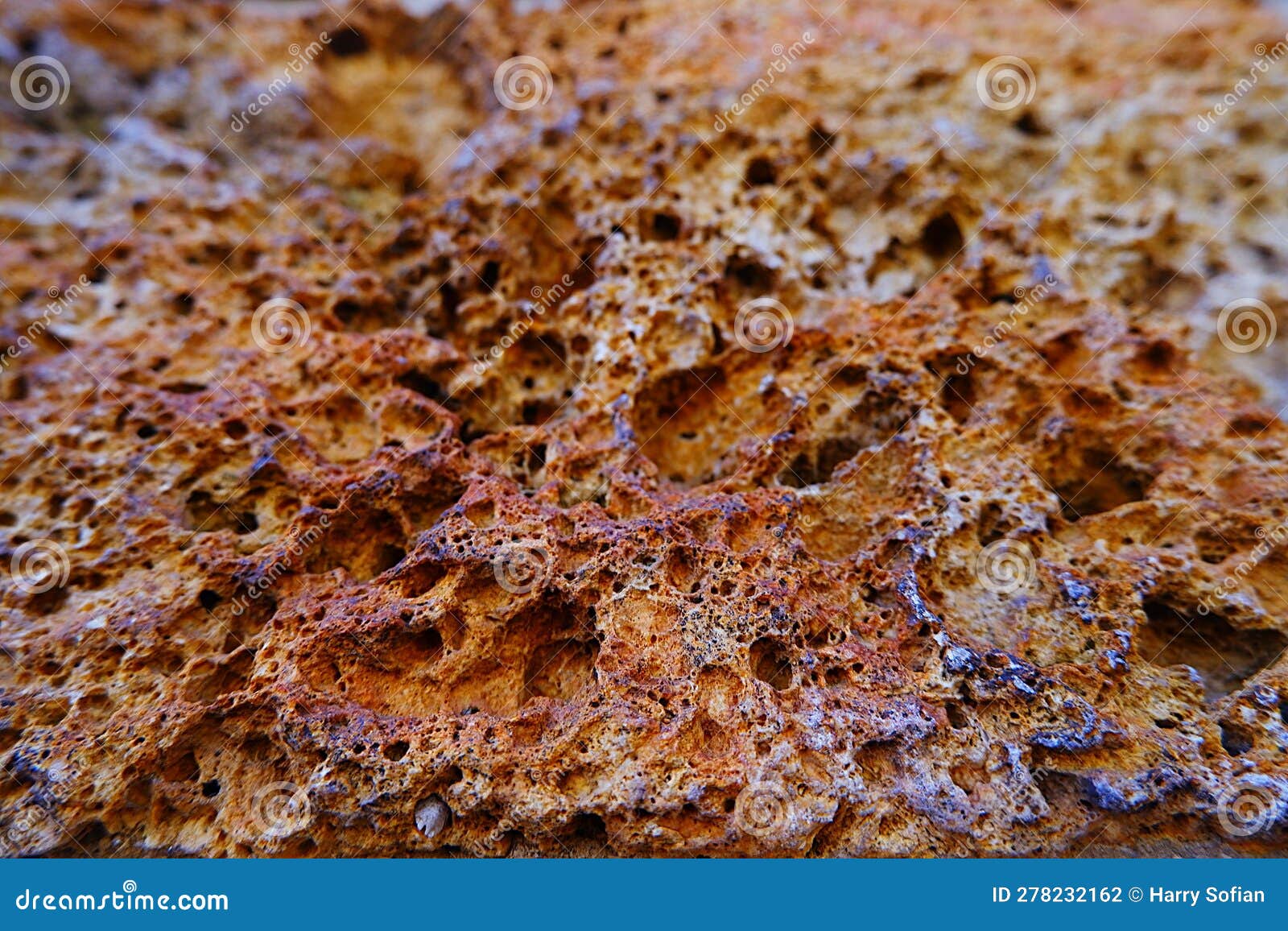 Coral rock stock photo. Image of beauty, natural, tropical 278232162