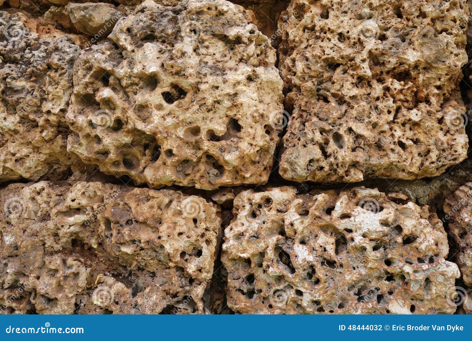 Coral rock wall stock photo. Image of brick, surrounding 48444032