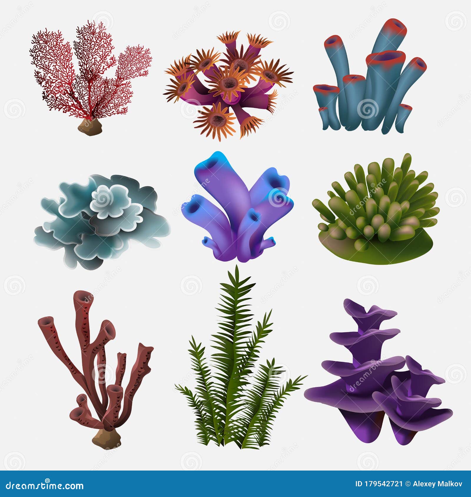Coral and Seaweed. Underwater Flora, Sea Water Seaweeds Aquarium, Kelp and  Corals. Ocean Plants Vector Color Set Stock Vector - Illustration of deep,  leaf: 179542721